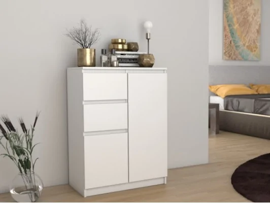 Komoda z szufladami i drzwiczkami 2D2S do salonu biała, sonoma, połysk, dąb artisan
