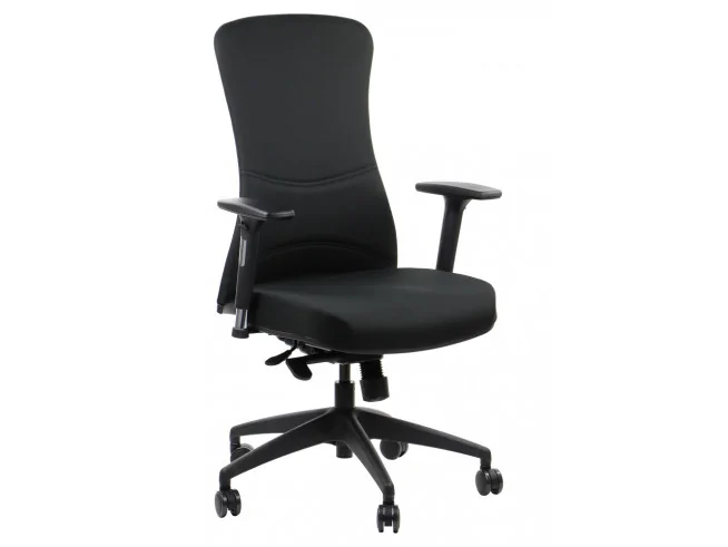 Ergonomiczny fotel biurowy Kenton czarny, szary